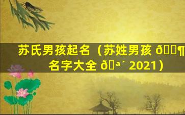 苏氏男孩起名（苏姓男孩 🐶 名字大全 🪴 2021）